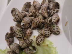 -宝燕海鲜(好爱店)