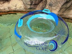 -新加坡水上探险乐园