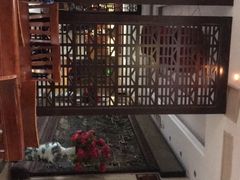 -蔡阿水羊肉店