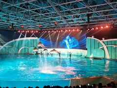 -海合安青岛极地海洋公园