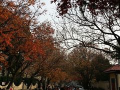 android_upload_pic-八大关景区