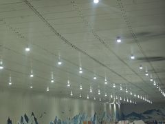 -重庆际华园室内极限运动中心
