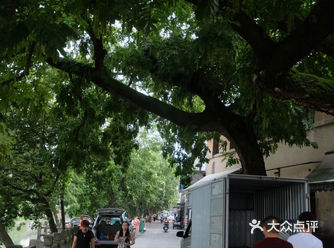 穿越到江南乌镇，小众旅游攻略