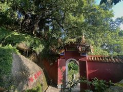 -青芝山风景名胜区