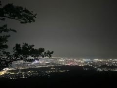 -紫金山山顶公园