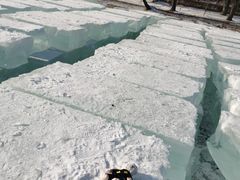 -长春市南湖公园