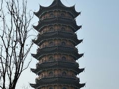 -葛仙湖公园