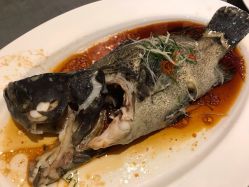 -婚礼宴会中心-芙蓉国温德姆至尊豪廷大酒店