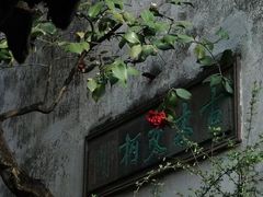-留园