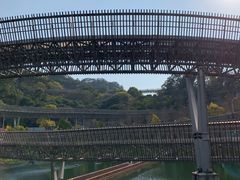 -福道