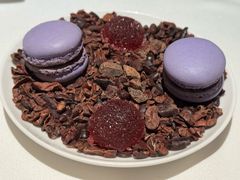 -Le Comptoir de Pierre Gagnaire