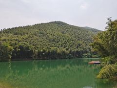 -东明山森林公园