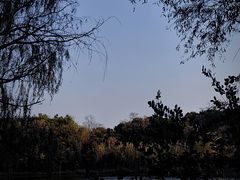 -苏州太湖国家湿地公园