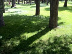 android_upload_pic-景山公园