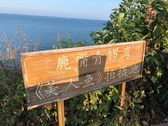 -杨梅坑