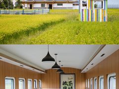 -峡谷浮石林景区