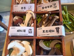 -芸鲜季·云南野生菌餐厅· 云南风物味研社(闵行店)
