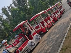 -长白岛森林公园