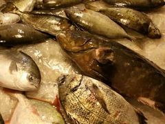 -钱大妈海鲜饭店(保利林语店)