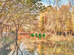 -溱湖国家湿地公园