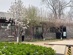 -春风习习
