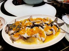 黄椒酱蒸沙巴笋壳鱼-广州文华东方酒店·江-由辉师傅主理