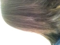 peter作品-尚·丹尼Hair