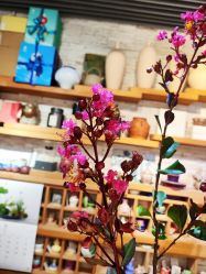 -今日陶艺(富力广场店)