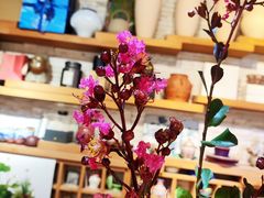 -今日陶艺(富力广场店)