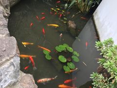-凤凰御元艺术基地