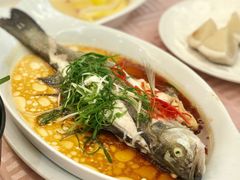 清蒸石斑鱼-宝华海景大酒店·望绿苑