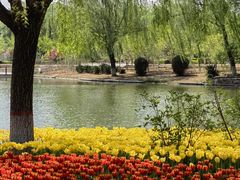 -石家庄市植物园