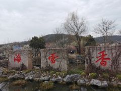 -香雪海