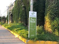 -龙大花卉苗木市场