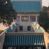 武汉旅游攻略-武大樱花