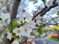 -九里河湿地公园