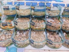 -烁佳海鲜大馅饺子