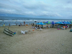 android_upload_pic-汕头中海黄金海岸水上乐园