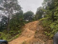 -大余丫山旅游度假区