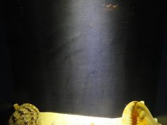 -亚龙湾中心广场·贝壳馆