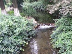 -白马涧龙池景区