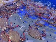 -澜悦港海鲜体验主题餐厅