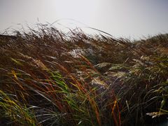 -玉龙沙湖景区