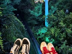-富斯特索道