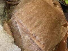 鲜毛肚-湊湊火锅·茶憩(新中关购物中心店)