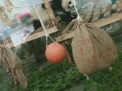 -无锡动物园·太湖欢乐园