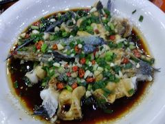 -全乐鱼馆·淳牌有机鱼直营店