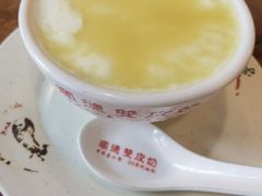 姜汁双皮奶热-正德顺順德雙皮奶(中信店)