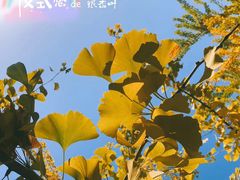 -辽宁大学(崇山校区)