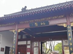 -南汇桃花村